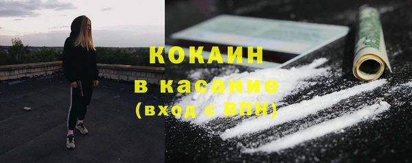 индика Алексеевка
