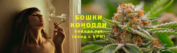 PSILOCYBIN Алексин