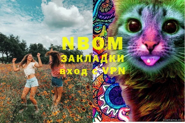 СК Алзамай