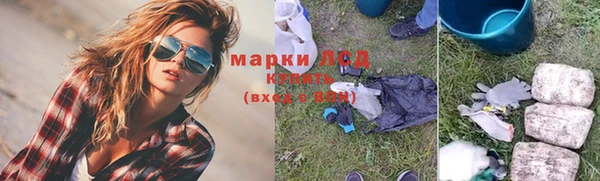 индика Алексеевка