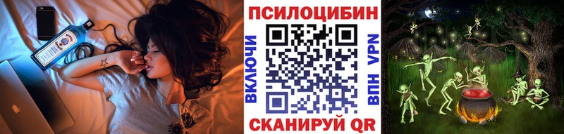 купить наркотики цена  Беломорск  darknet наркотические препараты  Псилоцибиновые грибы Magic Shrooms 